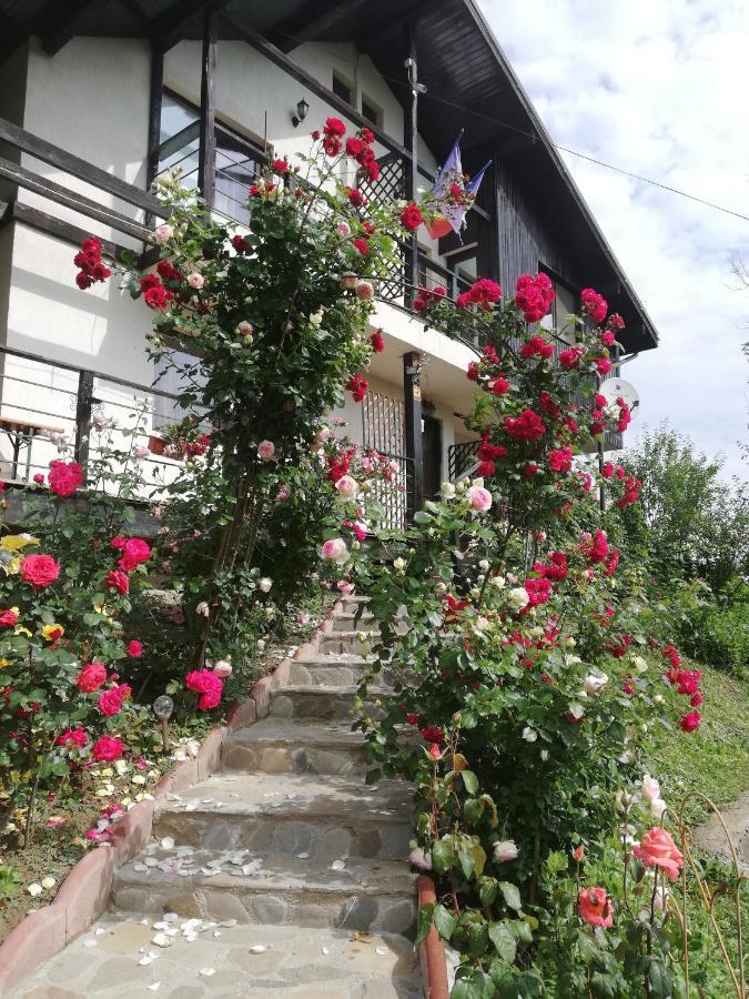 Casuta cu Trandafiri Hotel Slănic Exterior foto