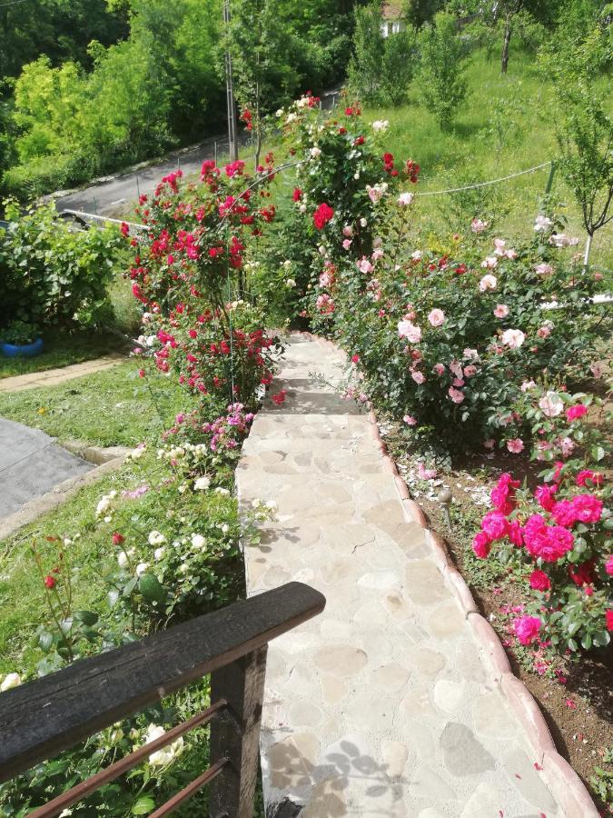 Casuta cu Trandafiri Hotel Slănic Exterior foto