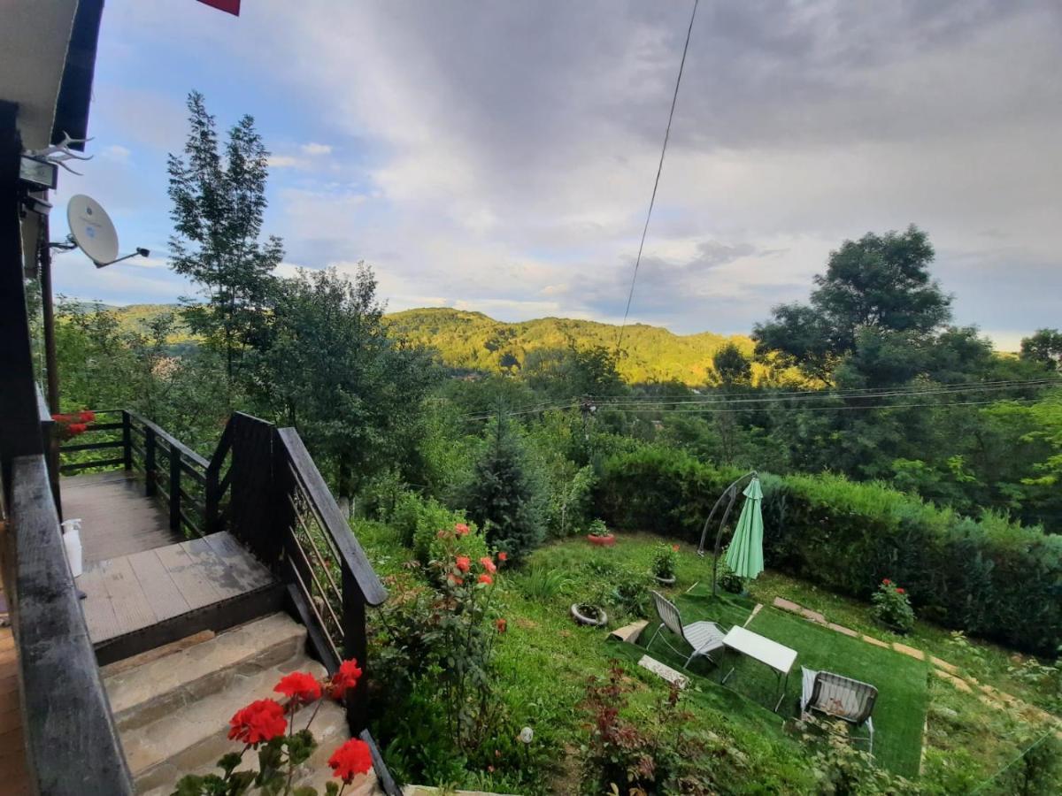 Casuta cu Trandafiri Hotel Slănic Exterior foto
