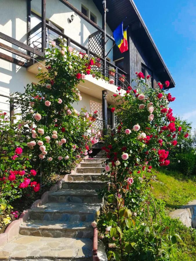 Casuta cu Trandafiri Hotel Slănic Exterior foto