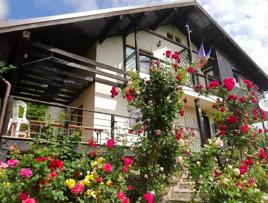 Casuta cu Trandafiri Hotel Slănic Exterior foto