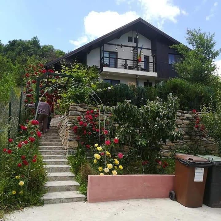 Casuta cu Trandafiri Hotel Slănic Exterior foto