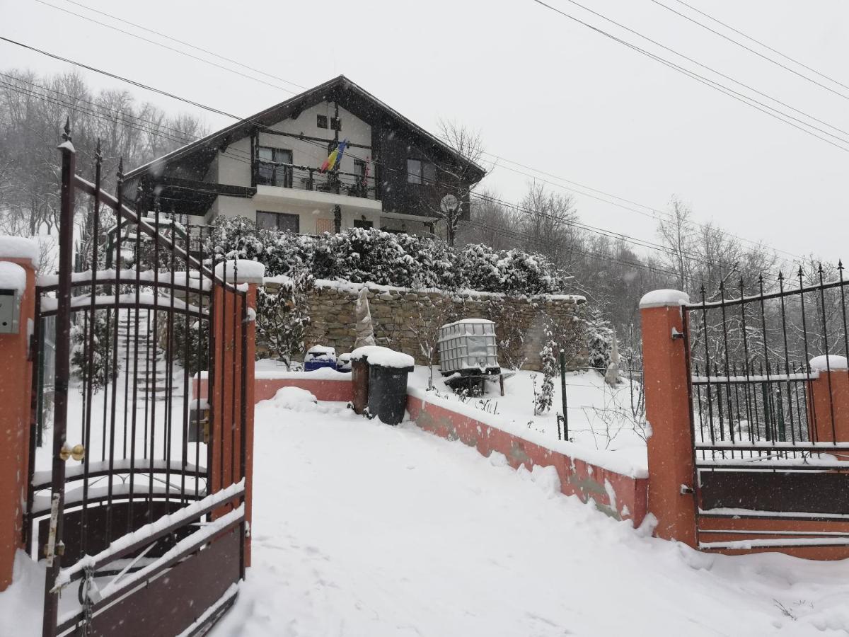 Casuta cu Trandafiri Hotel Slănic Exterior foto